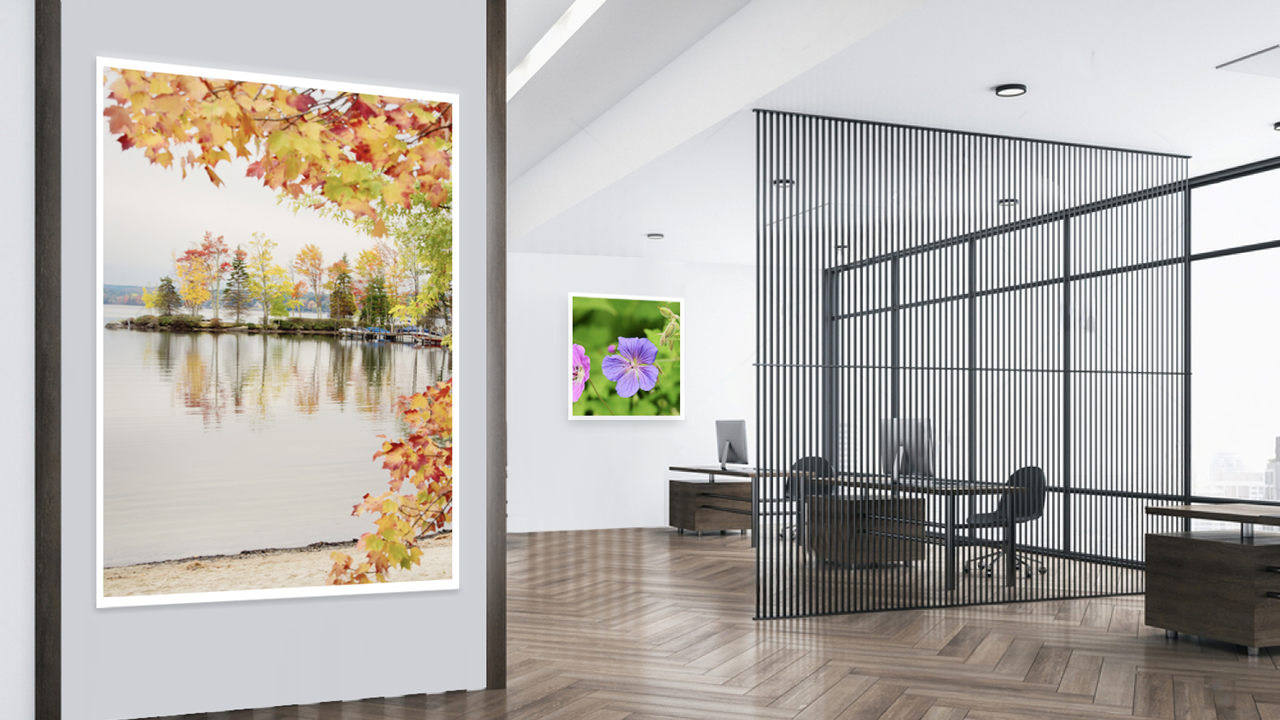 Floral artwork with frame for office