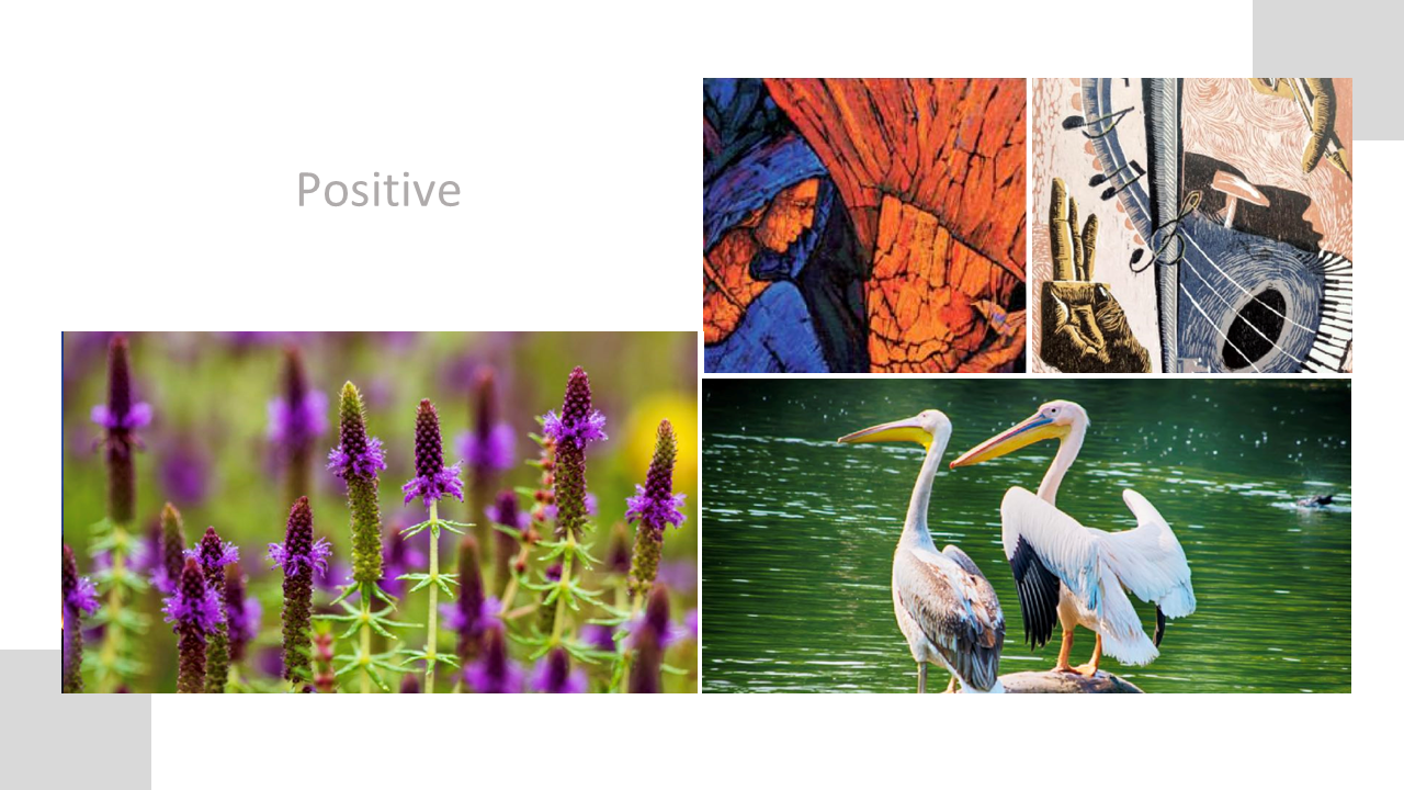Positive wall art for office